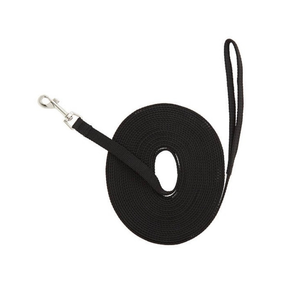 Dog Training Leash, 30 feet